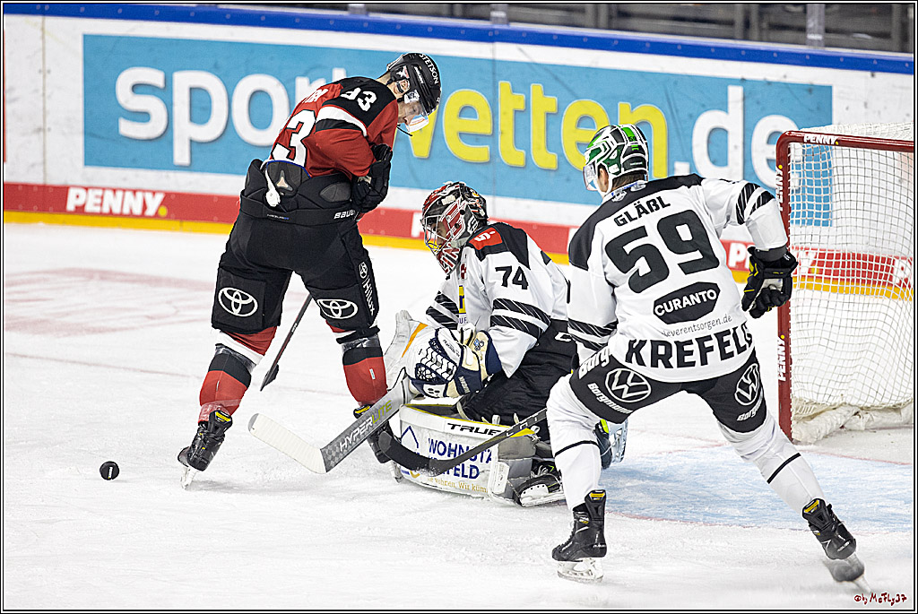 PENNY DEL;  Koelner Haie - Krefeld Pinguine; Koeln, 31.10.2021